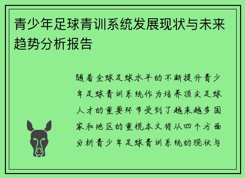 青少年足球青训系统发展现状与未来趋势分析报告