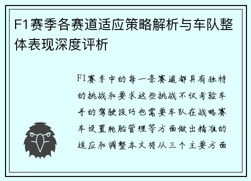 F1赛季各赛道适应策略解析与车队整体表现深度评析