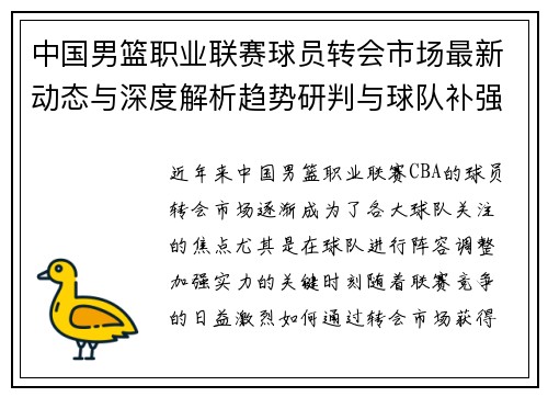 中国男篮职业联赛球员转会市场最新动态与深度解析趋势研判与球队补强策略